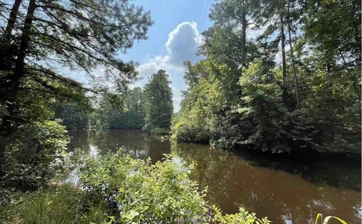 Pictures of Land property located at TBD County Road 4559, Winnsboro, TX 75494 for sales - image #1