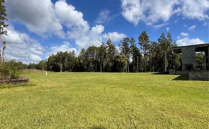 Pictures of Land property located at 1029 Van Dyke Rd, Lutz, FL 33548 for sales - image #1