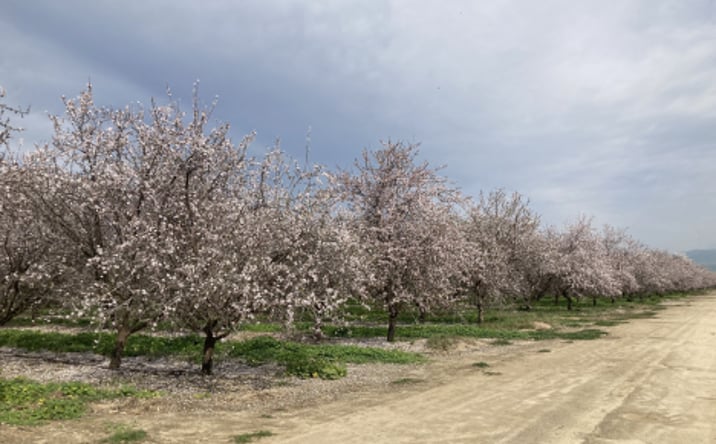 Pictures of Land property located at Panama Rd, Bakersfield, CA 93307 for sales - image #1