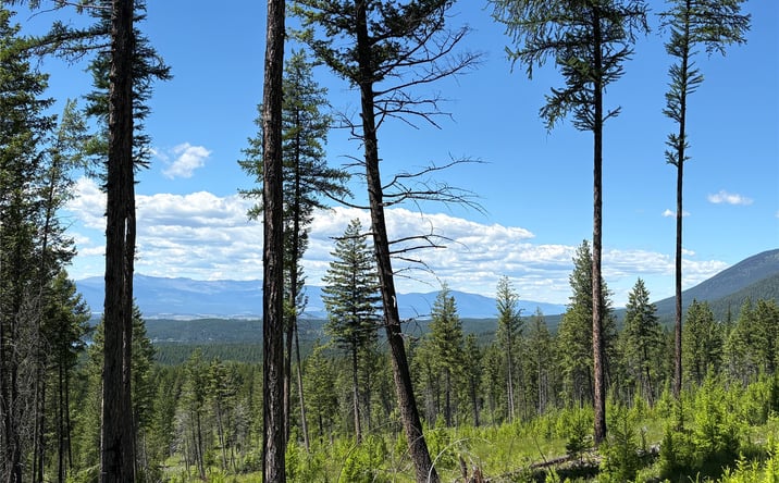 Pictures of Land property located at 8025 Therriault Pass Road, EUREKA, MT 59917 for sales - image #1