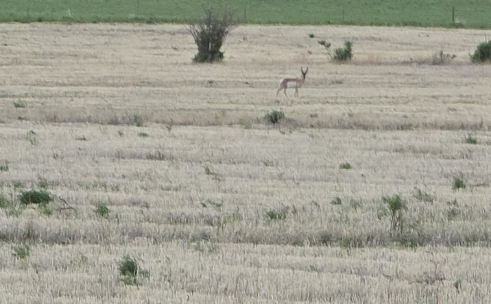 Pictures of Land property located at NHN 5th Lane NW, CHOTEAU, MT 59422 for sales - image #1