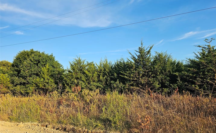 Pictures of Land property located at E 5500 Road, Terlton, OK 74081 for sales - image #1