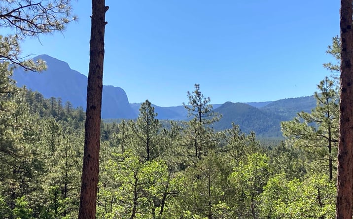 Pictures of Land property located at 69 The Forks Road, Chama, NM 87520 for sales - image #1