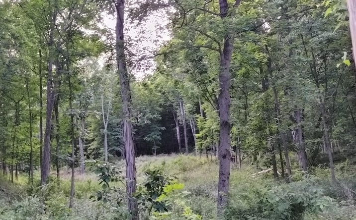 Pictures of Land property located at 419 Cauterskill Avenue, Catskill, NY 12414 for sales - image #1