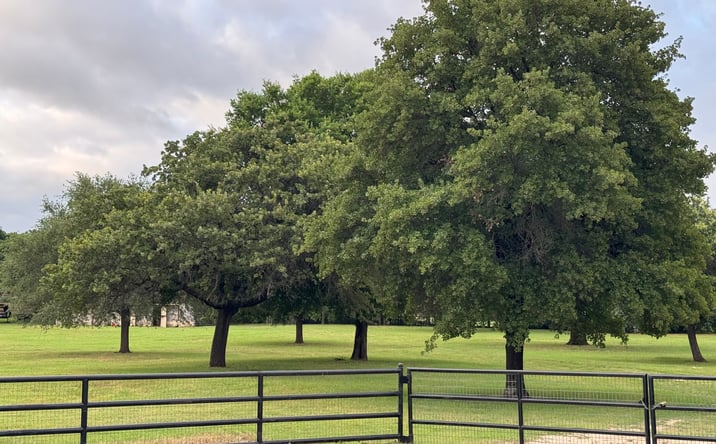 Pictures of Land property located at Knight Street, Argyle, TX 76226 for sales - image #1