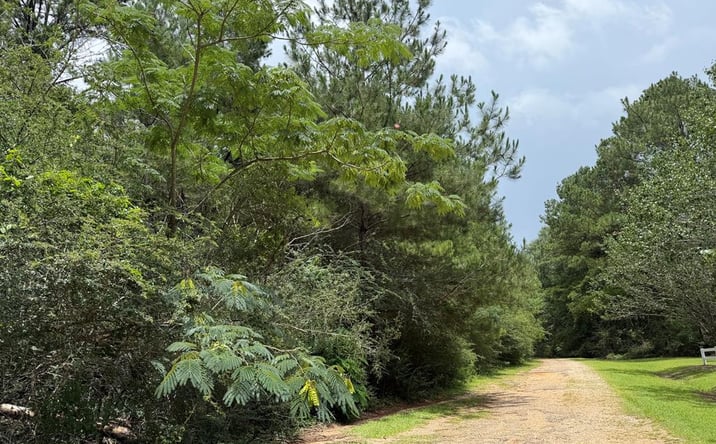 Pictures of Land, Special Purpose property located at NHN Misty Lane, Lumberton, MS 39455 for sales - image #1