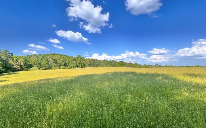 Pictures of Land, Special Purpose, Multifamily property located at 178 Grande Rd, Fairdale, WV 25839 for sales - image #1