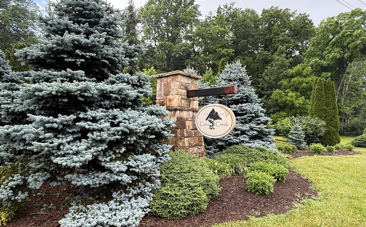 Pictures of Land property located at TBD Cove Creek Rd- State Route 662, Bastian, VA 24314 for sales - image #1