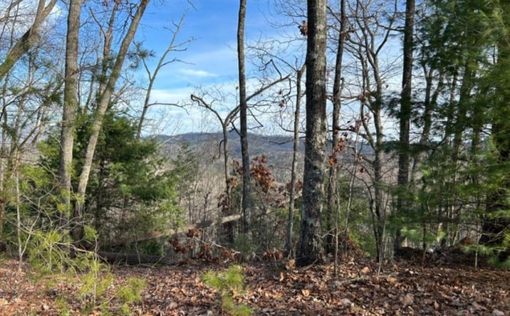 Pictures of Land property located at Lot 46 Mission Ridge, Hayesville, NC 28904 for sales - image #1