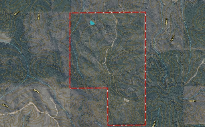 Pictures of Land property located at 00 Dale Road, Duck Hill, MS 38925 for sales - image #1