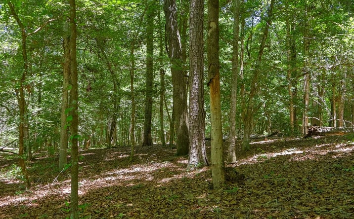 Pictures of Land property located at 232 Crane Road, 27264, GA 31014 for sales - image #1