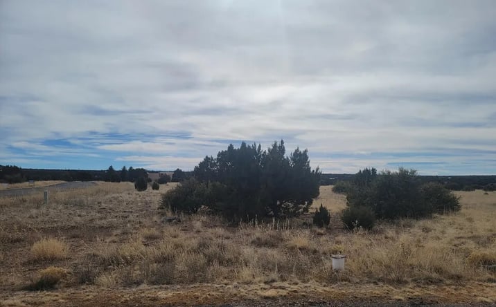 Pictures of Land property located at 1961 Creekside Cir, Show Low, AZ 85901 for sales - image #1