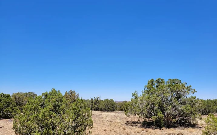 Pictures of Land property located at 8442 Lake Ridge Rd, Show Low, AZ 85901 for sales - image #1