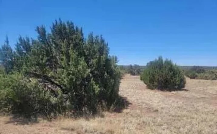 Pictures of Land property located at 8435 Lake View Dr, Show Low, AZ 85901 for sales - image #1