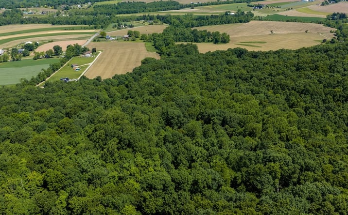 Pictures of Land property located at 0 Rutter Road, Halifax, PA 17032 for sales - image #1