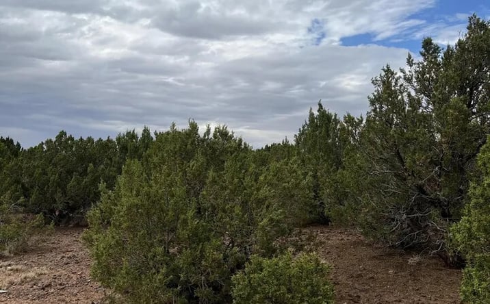 Pictures of Land property located at 8776 Clark Rd, Show Low, AZ 85901 for sales - image #1
