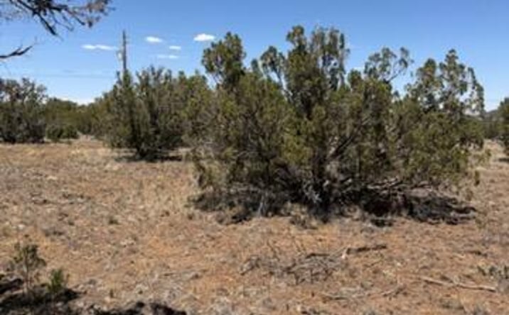 Pictures of Land property located at 8476 Elkhorn Dr, Show Low, AZ 85901 for sales - image #1