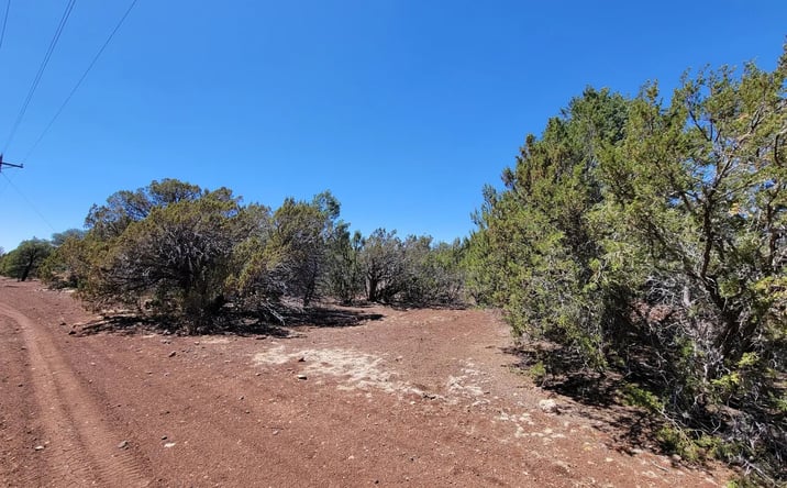 Pictures of Land property located at County Road 3113, Vernon, AZ 85940 for sales - image #1