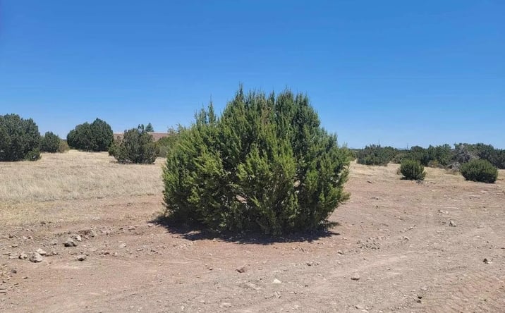 Pictures of Land property located at 8430 Lake View Dr, Show Low, AZ 85901 for sales - image #1