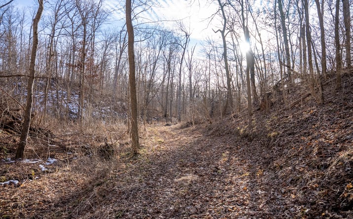Pictures of Land property located at CR 2950N Ramsey, Ramsey, IL 62080 for sales - image #1