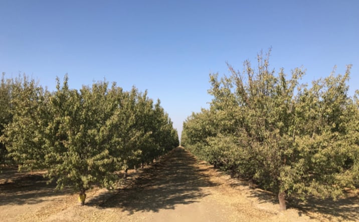 Pictures of Land property located at Copus and Old River Roads, Bakersfield, CA 93313 for sales - image #1