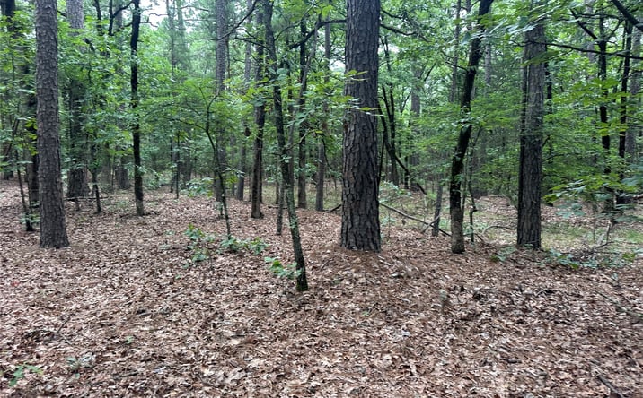 Pictures of Land property located at 1 Johns Valley Road, Moyers, OK 74557 for sales - image #1