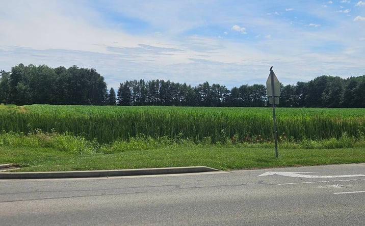 Pictures of Land property located at 701 W Hutchinson Ln, Madison, IN 47250 for sales - image #1