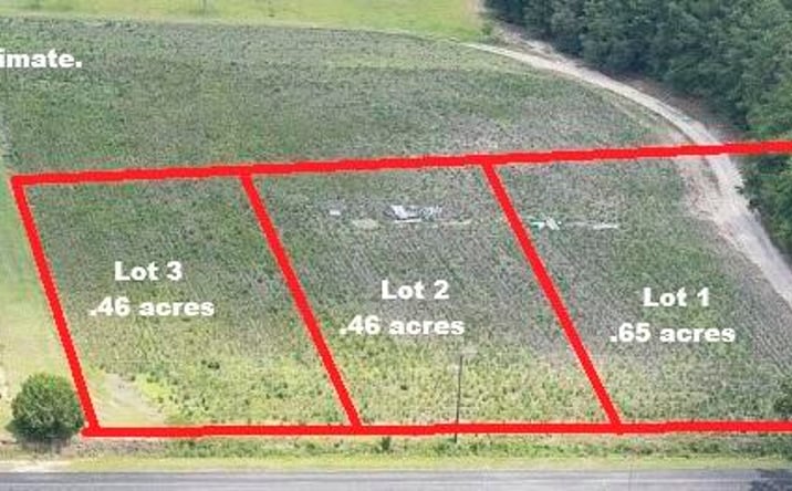 Pictures of Land, Multifamily property located at 1 Joseph Lemon And Dingle Rd Road 1, Manning, SC 29102 for sales - image #1