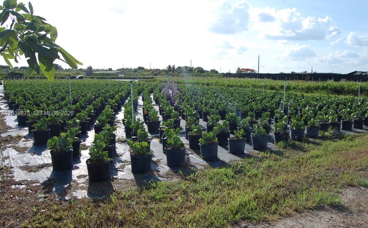 Pictures of Business for Sale, Land, Industrial property located at 13648 SW 177 ave, Homestead, FL 33196 for sales - image #1
