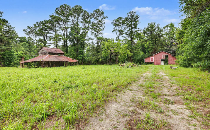 Pictures of Land property located at TBD Mitchell Sea Road, Green Sea, SC 29545 for sales - image #1