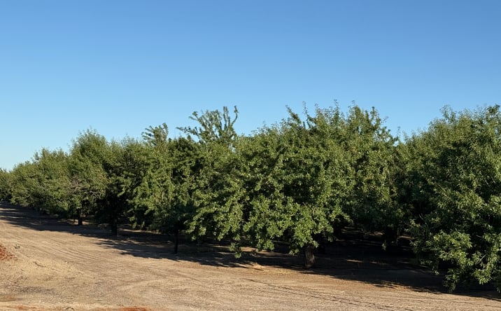 Pictures of Land property located at 2700 North Avenue, Modesto, CA 95358 for sales - image #1