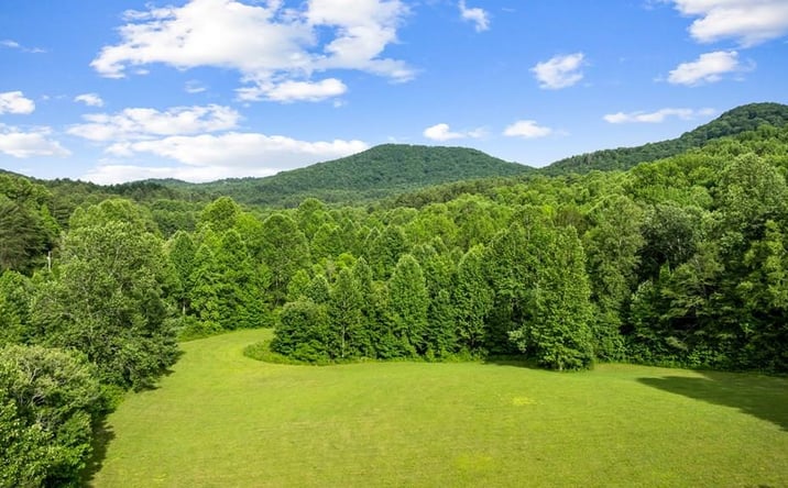 Pictures of Land property located at 225 Cohutta Ranch Road, Blue Ridge, GA 30513 for sales - image #1