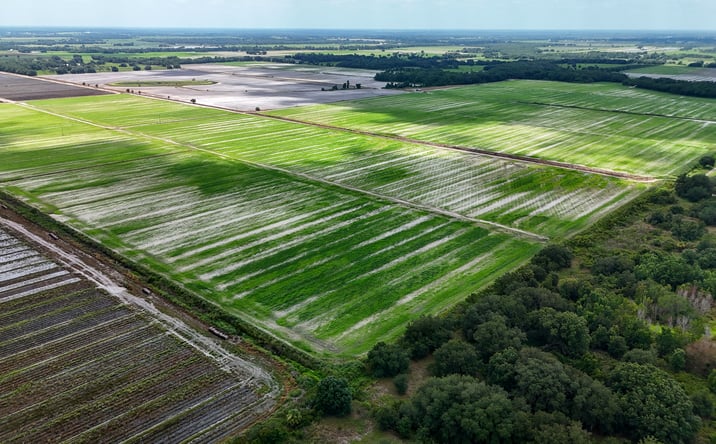 Pictures of Land property located at Schontag Road, Wauchula, FL 33873 for sales - image #1