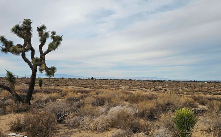 Pictures of Industrial, Land property located at AVENUE L4, PALMDALE, CA 93552 for sales - image #1