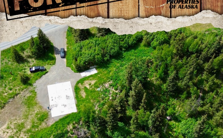 Pictures of Land property located at 35232 North Fork Road, Anchor Point, AK 99556 for sales - image #1