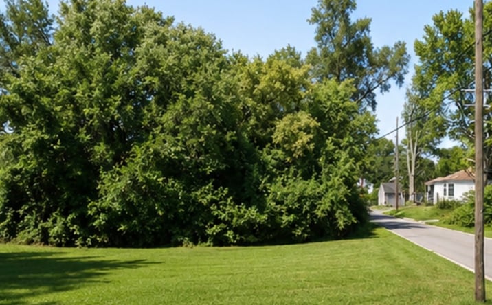 Pictures of Land property located at 14057 Rockdale Street, Detroit, MI 48223 for sales - image #1
