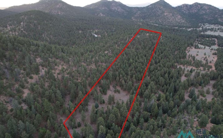 Pictures of Land property located at A015 County Road, Mora, NM 87732 for sales - image #1