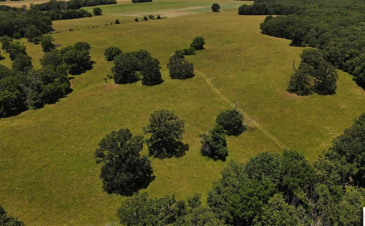 Pictures of Land property located at Tract 2 / 3665 NW Center, Osceola, MO 64776 for sales - image #1