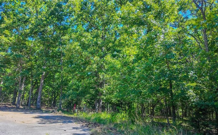 Pictures of Land, Multifamily property located at Lot #1318 Champion Court, Sunrise Beach, MO 65079 for sales - image #1