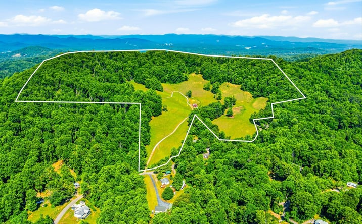 Pictures of Land property located at 52 Chapel Hill Church Road, Asheville, NC 28803 for sales - image #1