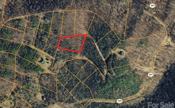 Pictures of Land property located at 000 Hawks Nest Dr, Burnsville, NC 28714 for sales - image #1