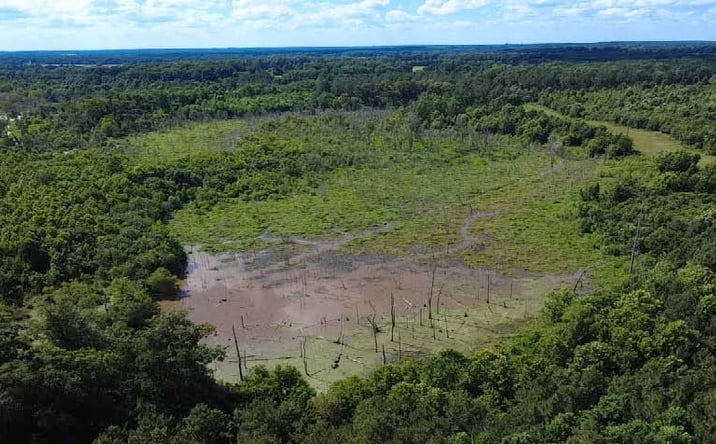 Pictures of Land property located at 2318 Beaver Dam Creek Road, Newberry, SC 29108 for sales - image #1