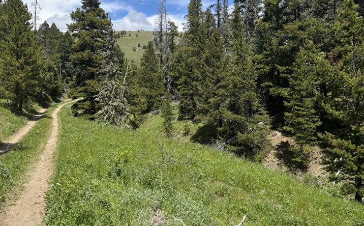 Pictures of Land property located at NHN Cadotte Creek Road, LINCOLN, MT 59639 for sales - image #1