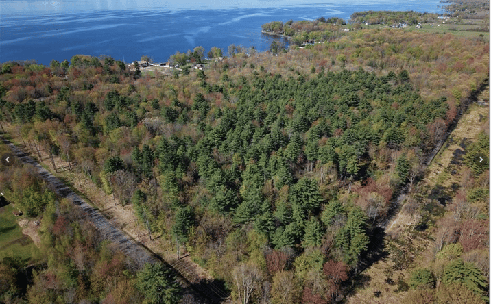 Pictures of Land property located at 0000 State Route 49, Central Square, NY 13028 for sales - image #1