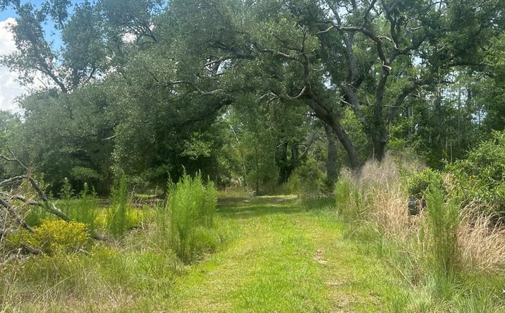 Pictures of Land property located at 4336 Jody Morgan Rd, Steinhatchee, FL 32359 for sales - image #1