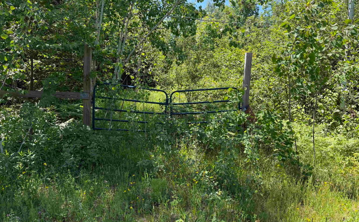 Pictures of Land property located at TBD Woodspur, Ontonagon, MI 49953 for sales - image #1