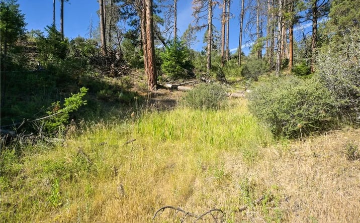 Pictures of Land property located at 1 Duzel Creek Road, Fort Jones, CA 96032 for sales - image #1