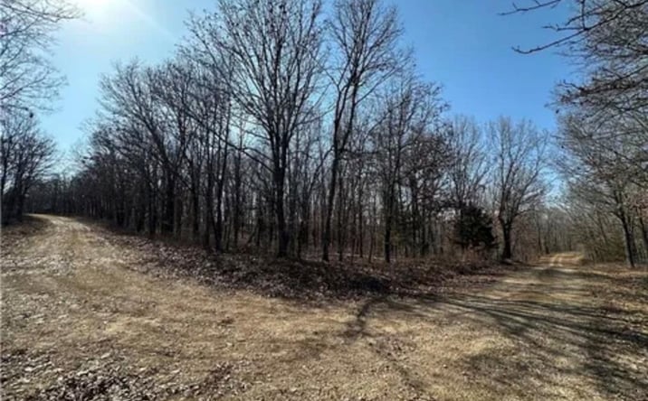 Pictures of Land, Multifamily property located at LOTS 3155, Edwards, MO 65326 for sales - image #1