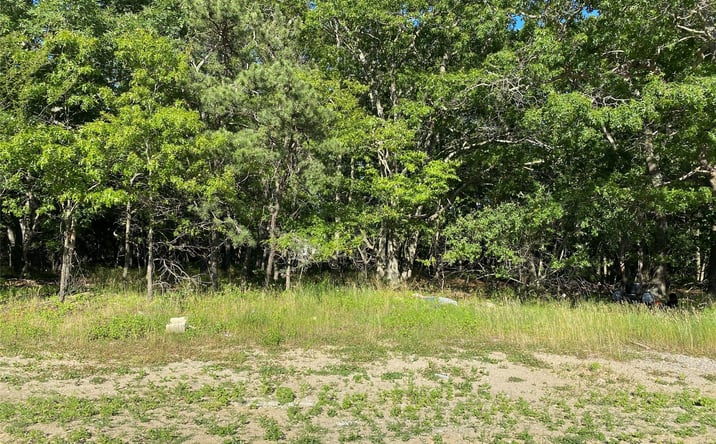 Pictures of Land property located at Granny Road, Medford, NY 11763 for sales - image #1