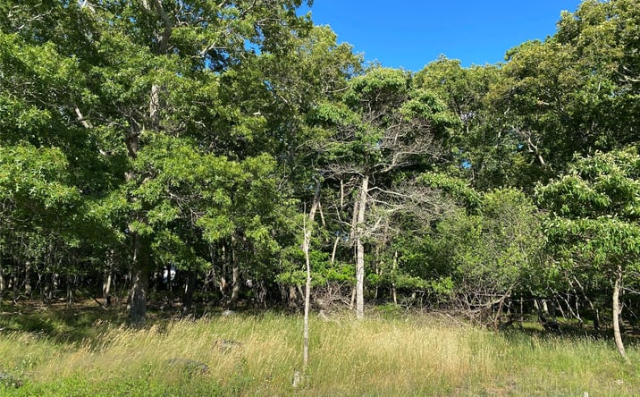 Pictures of Land property located at Granny Road, Medford, NY 11763 for sales - image #1